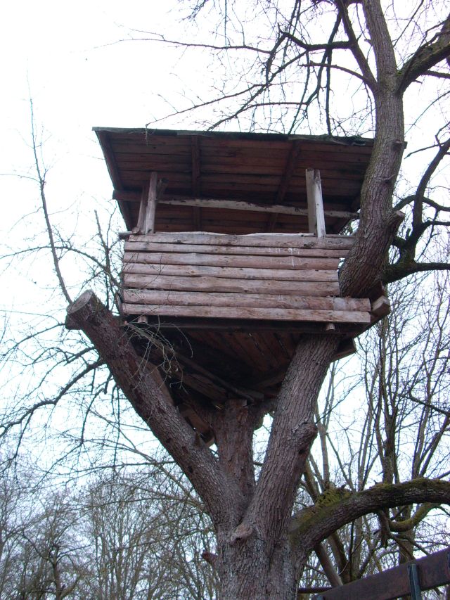 baumhütte