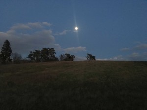 IMG_6422